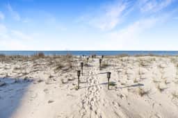Above The Sand