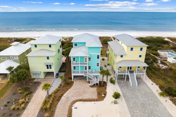 Cape Conchs - Image 1