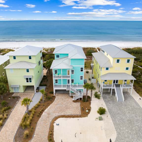 Cape Conchs - Image 1