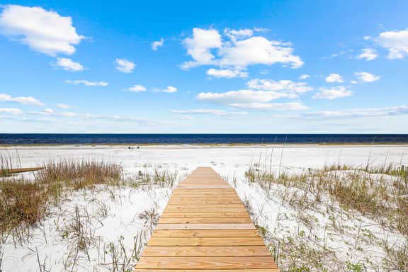 Water's Edge